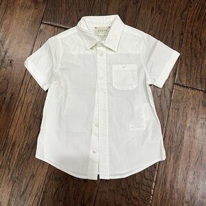 Gucci baby shirts